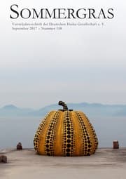 Cover von Sommergras 118