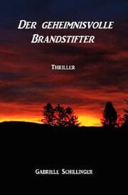 Cover von Der geheimnisvolle Brandstifter