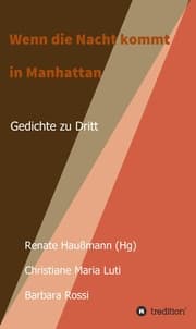 Cover von Wenn die Nacht kommt in Manhattan
