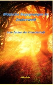 Cover von Magische Begegnungen im Zauberwald