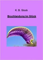 Cover von Bruchlandung im Glück