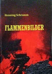 Cover von Flammenbilder