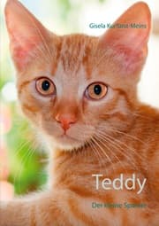 Cover von Teddy