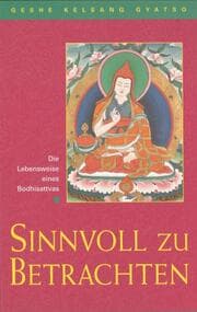 Cover von Sinnvoll zu betrachten