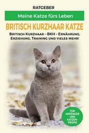 Cover von Britisch Kurzhaar Katze