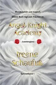 Cover von Angel Knight Academy 1 Juwelenglanz