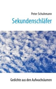Cover von Sekundenschläfer
