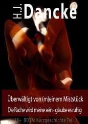 Cover von Überwältigt von (m)einem Miststück
