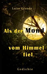 Cover von Als der Mond vom Himmel fiel