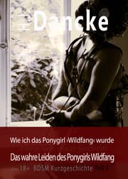 Cover von Wie ich das Ponygirl Wildfang wurde