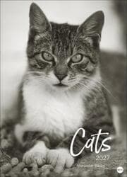Cover von Cats Edition Kalender 2027