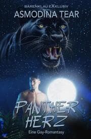 Cover von Pantherherz - Eine Gay-Romantasy
