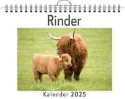 Cover von Rinder - (Wandkalender 2025, Kalender DIN A4 quer, Monatskalender im Querformat mit Kalendarium, das perfekte Geschenk)