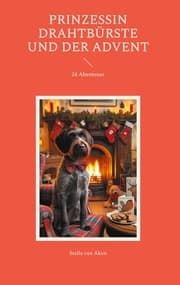 Cover von Prinzessin Drahtbürste und der Advent