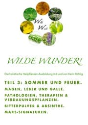 Cover von Wilde Wunder! TAM 3 - Sommer und Feuer. Magen, Leber und Galle. Marssignaturen.