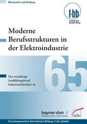 Cover von Moderne Berufsstrukturen in der Elektroindustrie