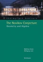 Cover von The Novikov Conjecture: Geometry and Algebra