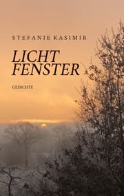 Cover von Lichtfenster