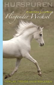 Cover von Fliegender Wechsel