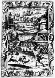 Cover von Sammeldarstellungen