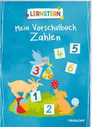 Cover von LERNSTERN. Mein Vorschulbuch Zahlen