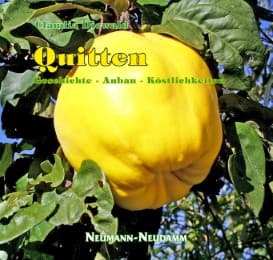 Cover von Quitten
