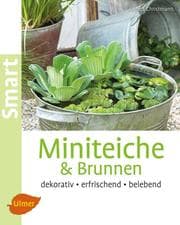 Cover von Miniteiche und Brunnen