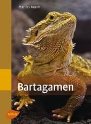 Cover von Bartagamen