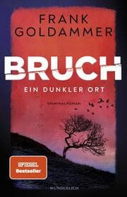 Cover von Bruch: Ein dunkler Ort