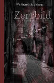 Cover von Zerrbild