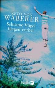 Cover von Seltsame Vögel fliegen vorbei