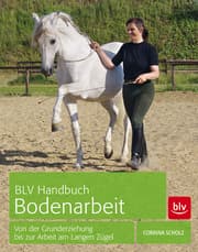 Cover von BLV Handbuch Bodenarbeit