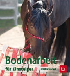 Cover von Bodenarbeit für Einsteiger