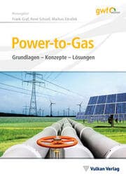 Cover von Power-to-Gas