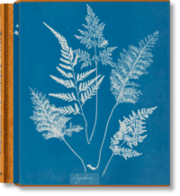 Cover von Anna Atkins. Cyanotypes