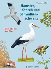 Cover von Hamster, Storch und Schwalbenschwanz