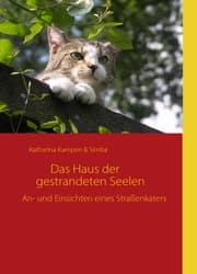 Cover von Das Haus der gestrandeten Seelen