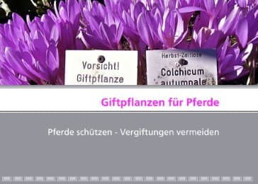 Cover von Giftpflanzen für Pferde