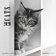 Cover von Cats 2020