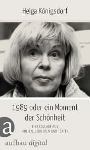 Cover von 1989 oder Ein Moment Schönheit