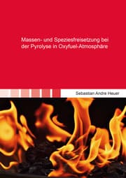 Cover von Massen- und Speziesfreisetzung bei der Pyrolyse in Oxyfuel-Atmosphäre