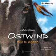Cover von Ostwind 7 - Wie es begann