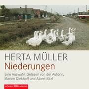 Cover von Niederungen