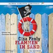 Cover von Flammen im Sand (Mamma Carlotta 4)