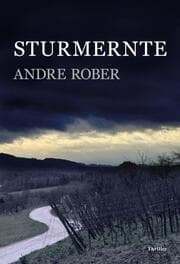 Cover von Sturmernte