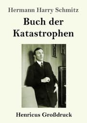 Cover von Buch der Katastrophen (Großdruck)
