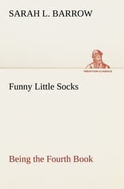Cover von Funny Little Socks Being the Fourth Book