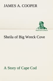 Cover von Sheila of Big Wreck Cove A Story of Cape Cod