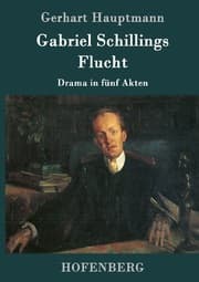 Cover von Gabriel Schillings Flucht