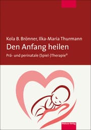 Cover von Den Anfang heilen